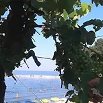 ホテル Chrisi Akti *